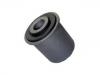 Suspension Bushing Suspension Bushing:55501-60U25